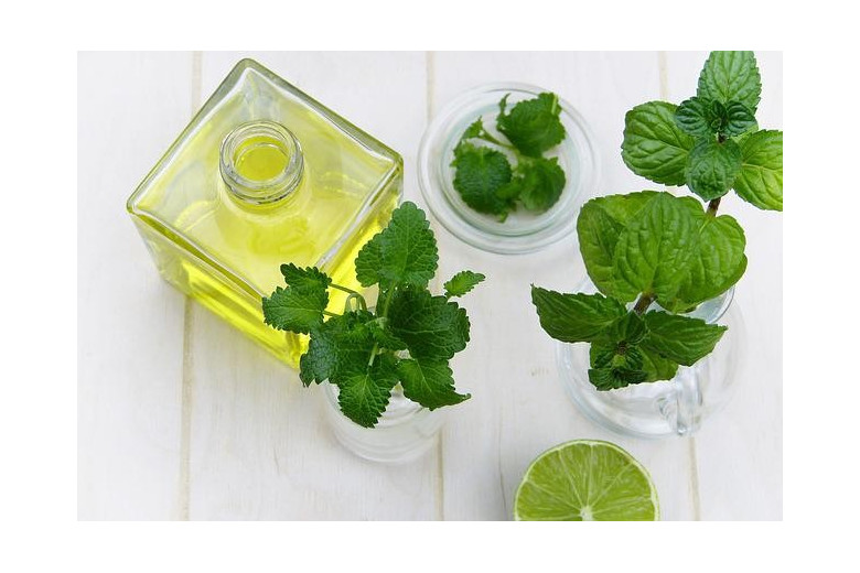 SPEARMINT ODŚWIEŻAJĄCA MIĘTA ZIELONA